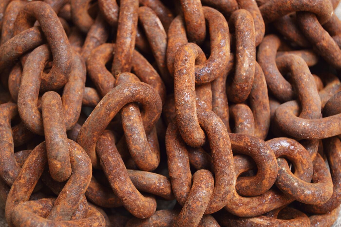Authoritative backlinks and citations build lasting local trust.